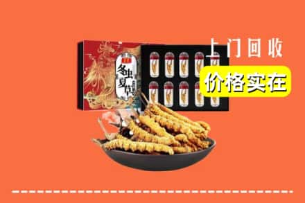 海陵区回收冬虫夏草
